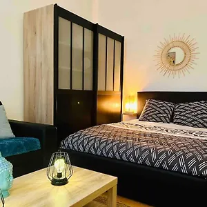  Appartement Hypercentre Gambetta